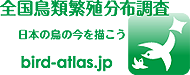 全国鳥類繁殖分布調査