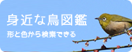 身近な鳥図鑑 形と色から検索できる