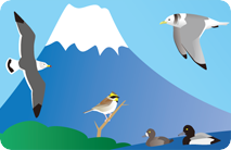  野鳥データベースFieldNote